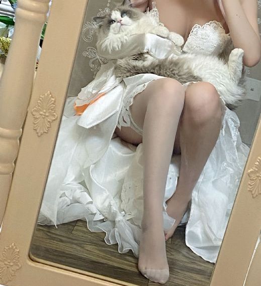 66精品成人在线_超清手机在线看